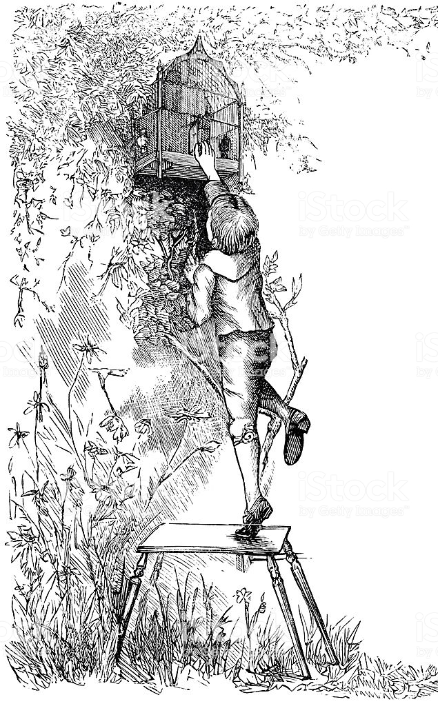 Викторианская гравюра 19 века "Мальчик похищающий птицу" 