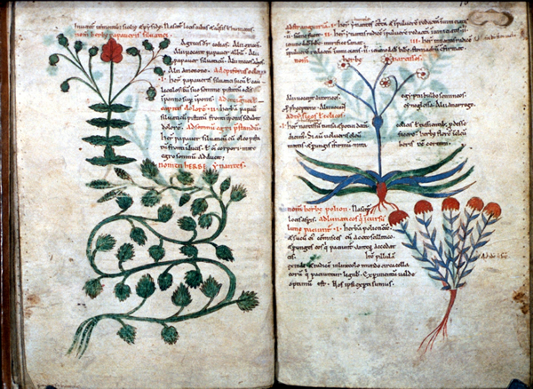 средневековый трактат упоминающий опиум